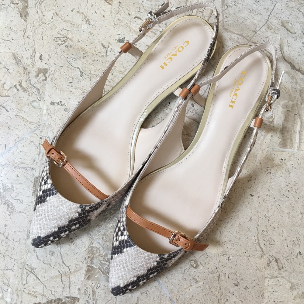 Wooster Snake Embossed Leather Slingback Flat Coach Sandal Pointed Toe Size 8